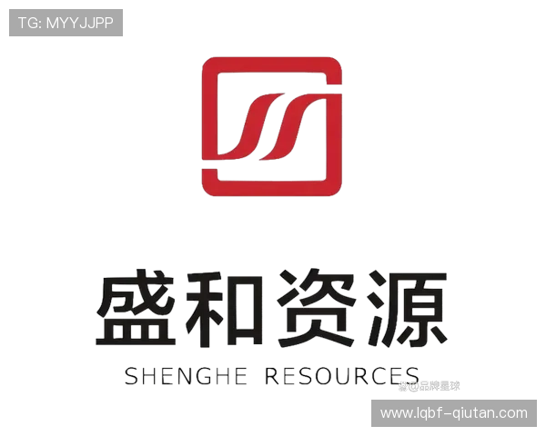 盛世VIP会员尊享特权，开启奢华生活新篇章